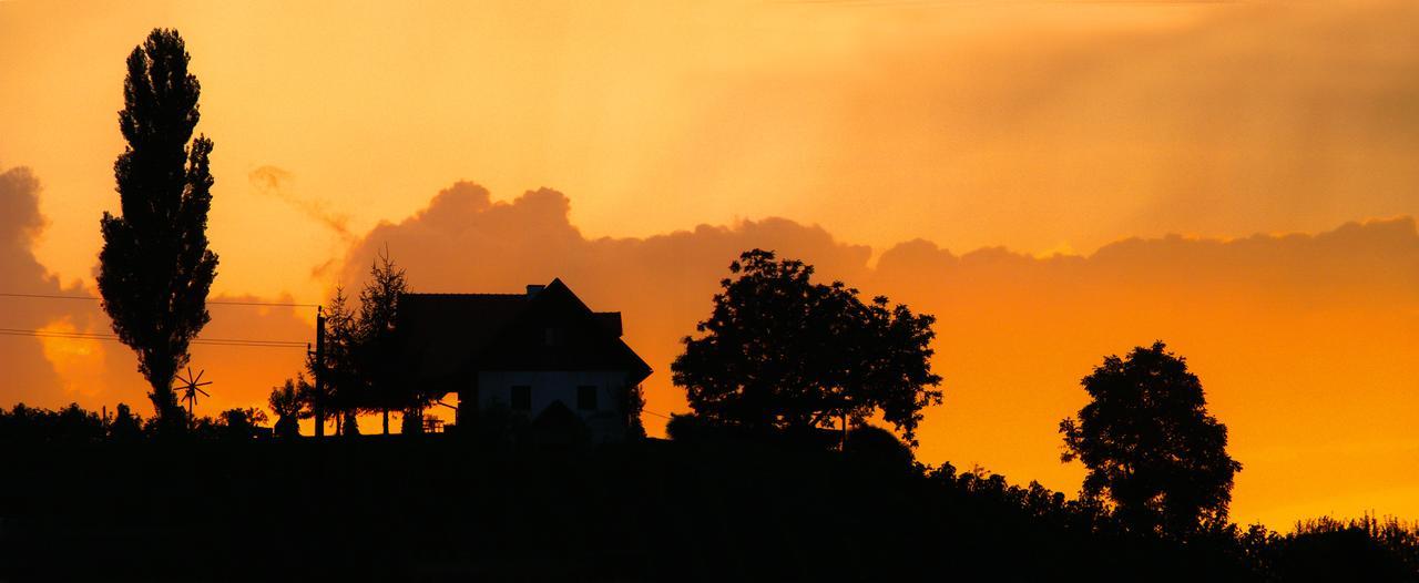 Hotel Weingut Dreisiebner Stammhaus Gamlitz Exterior foto