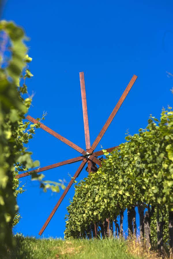 Hotel Weingut Dreisiebner Stammhaus Gamlitz Exterior foto